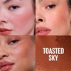 Maybelline Cloudtopia Blush for Cheeks and Lip Mousse, Ultra-Vivid, Pigmented Formula for Up to 14HR of Blush and Lip Makeup Color, Divine Crimson, 1 Count(TOASTED SKY)
