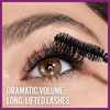 Maybelline The Falsies Lash Lift Washable Mascara Volumizing, Lengthening, Lifting, Curling, Multiplying, Eye Makeup, Blackest Black, 1 Count(BLACKEST BLACK)